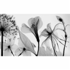 Картина на холсте Black flower (без рамы) 55x80 см ТЕРРАВОЛ