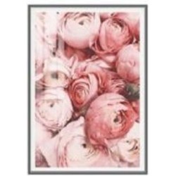 Картина на холсте в алюминиевой раме М004-Rose 55x80 см ТЕРРАВОЛ