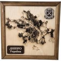 Карта Украины Днепр 20x20 см
