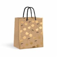 Пакет подарочный KRAFT 18x23x10 ручки веревки в ассортименте