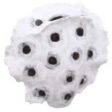 Ваза фарфоровая Inari Tetradon 21 см белая с черным 3097-2A