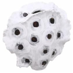 Ваза фарфоровая Inari Tetradon 21 см белая с черным 3097-2A