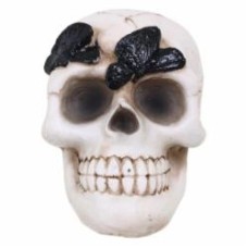 Статуэтка Skull with Butterfly 7х9х8 см APF952120 Koopman