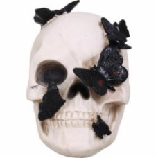 Статуэтка Skull with Butterfly 13х19х19 см APF952130 Koopman