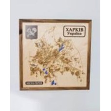 Карта Украины Харьков 65x65 см
