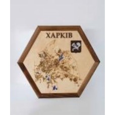 Карта Украины Харьков шестиугольная 40x46 см