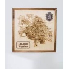 Карта Украины Львов 65x65 см