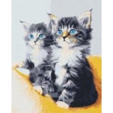 Картина по номерам Голубоглазые котята 11617-AC 40х50 см ART CRAFT