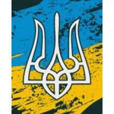 Картина по номерам Малый герб Украины 40x50 см Riviera Blanca