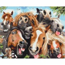 Картина по номерам Селфи лошадок 40x50 см Brushme