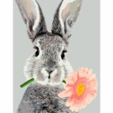 Картина по номерам Rabbit and Flower 35x45 см Rosa Start