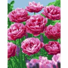 Картина по номерам Бархатные тюльпани 35x45 см Rosa Start