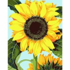 Картина по номерам Цветок подсолнечника 35x45 см Rosa Start