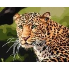 Картина по номерам Зеленоглазый леопард 40х50 см 40x50 см Идейка