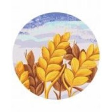 Картина по номерам Колоски © Didevych Kateryna 30x30 см Brushme