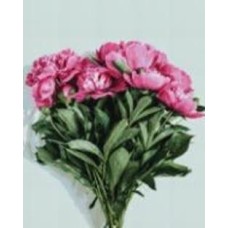 Алмазная мозаика Садовые пионы 40х50 см Brushme