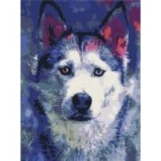 Картина по номерам Взгляд Хаски 30x40 см Brushme