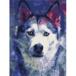 Картина по номерам Взгляд Хаски 30x40 см Brushme