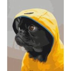 Картина по номерам Мопс в худые 40x50 см Brushme