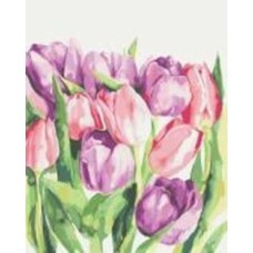 Картина по номерам Утренние тюльпаны ©Karolina Bundash 40x50 см Brushme