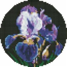 Алмазная мозаика AM-R7924 Идейка