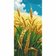 Картина по номерам Родное поле 40х80 см ART CRAFT