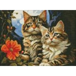 Алмазная мозаика на подрамнике Очаровательные котики ©art_selena_ua Идейка