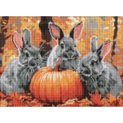 Алмазная мозаика Приключения кролика ©art_selena_ua Идейка Алмазная мозаика Приключения кролика ©art_selena_ua Идейка