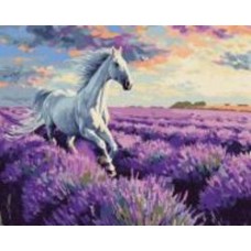 Картина по номерам В лавандовых полях art.solomiia 40x50 см Ideyka