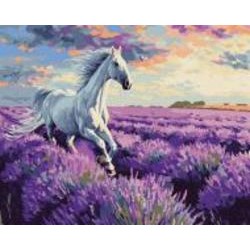 Картина по номерам В лавандовых полях art.solomiia 40x50 см Ideyka