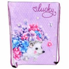 Сумка для обуви CLASS Lucky 46x33 см 2233С