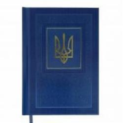 Дневник датированный NATION Buromax A5 2025 синий