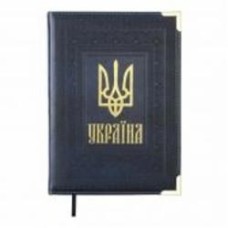 Дневник недатированный синий Buromax Statut A5
