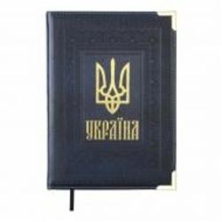 Дневник недатированный синий Buromax Statut A5