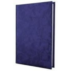 Дневник датированный Economix Gallaxy A5 2025 E21693-02 синий
