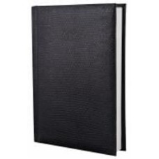 Дневник датированный SNAKE Economix A5 2025 E21633-01 черный