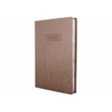 Дневник датированный Optima Nebraska A5 2025 O25203-66 бежевый металлик