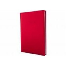 Дневник датированный Allegra Economix A5 2025 E21691-03 красный