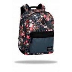 Рюкзак молодежный CoolPack SCOUT 17” VENICE F096715