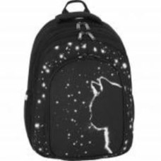 Рюкзак школьный Bagland Black Cat 16 л 59166