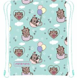 Сумка для обуви ASTRABAG AD1 KITTY'S WORLD