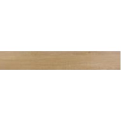 Плитка TAU Ceramica RAGUSA CAMEL 20х120