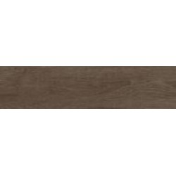 Плитка Allore Group Vivo Brown F PR NR Mat 15x60 см