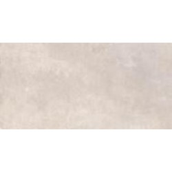 Плитка Allore Group Pacific light grey F PC R Mat 1 60x120 см (new 60130830)
