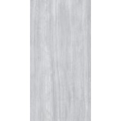 Плитка Allore Group Travertine Silver F PC R Mat 60x120 см