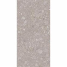 Плитка Allore Group Terra Beige F PC R Sugar 60x120 см