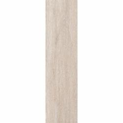 Плитка Allore Group Bavaria White F PR R Mat 22,5x90 см