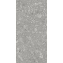 Плитка Allore Group Terra Grey F P R Mat 60x120 см