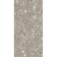 Плитка Allore Group Terra Greige F P R Mat 60х120 см
