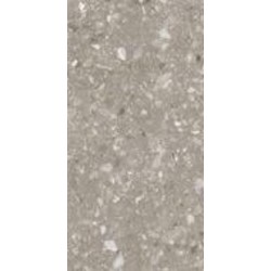 Плитка Allore Group Terra Greige F P R Mat 60х120 см